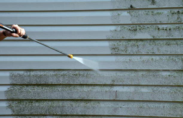 Best Deck Pressure Washing  in Haubstadt, IN