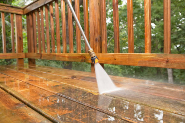 Best Power Washing Near Me  in Haubstadt, IN