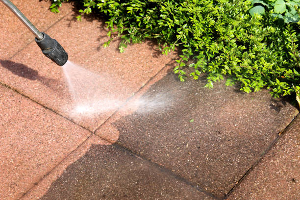 Best Affordable Power Washing  in Haubstadt, IN